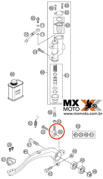 Cabeça Giratória do Pedal de Freio Traseiro Original KTM 50-560 2003 a 2024 - Husq 14 a 24 - Gas Gas 21 a 24 - 54813055000 / 54813055100